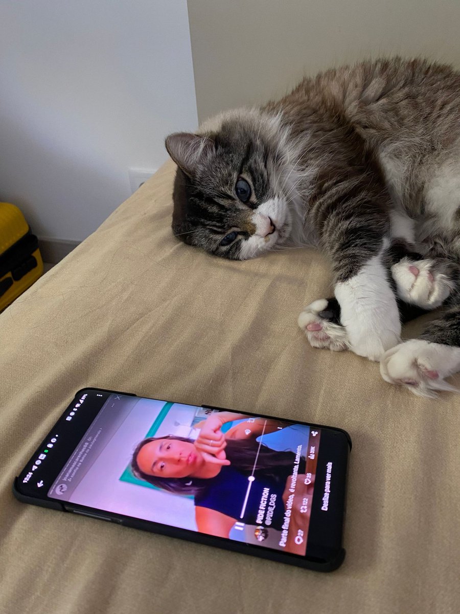 A explicar-lhe o que é que vai acontecer se voltar a miar compulsivamente às 5h da manhã.