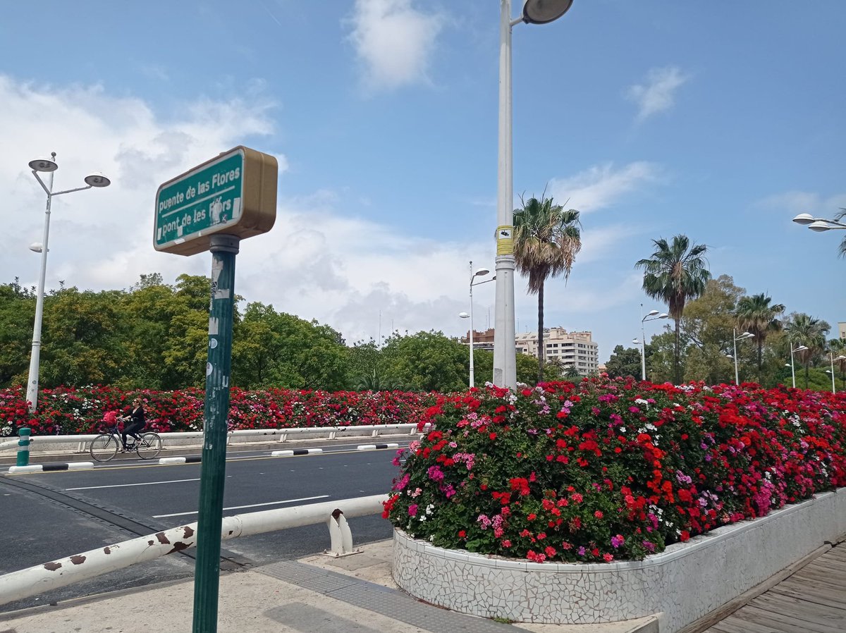 Ajuntament València tweet media