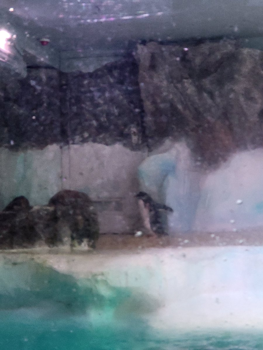 We've arrived and everyone is having an amazing time .