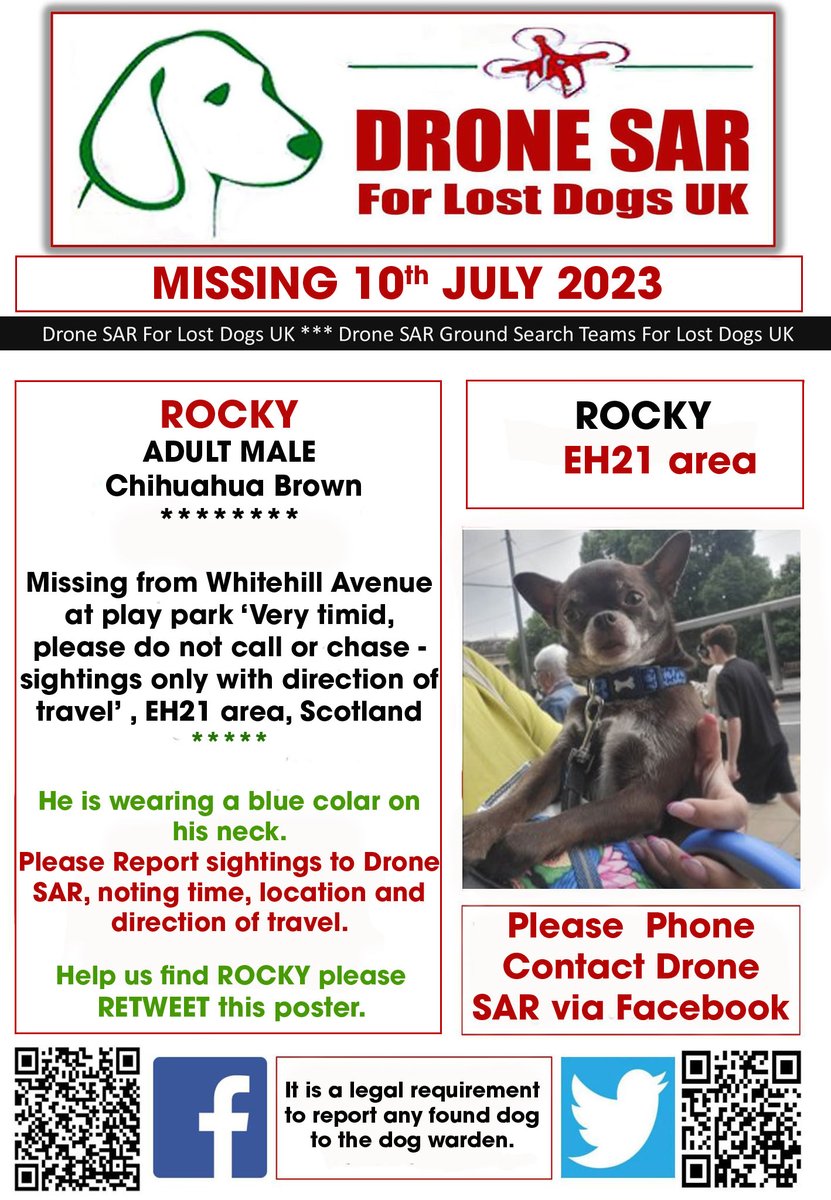 ROCKY, a male #Chihuahua6 went #MISSING Monday 10th July 2023 from Whitehill Avenue #Musselburgh #Scotland #EH21 

Has been sighted locally but is running scared 😞  PLEASE don't chase if seen!!! Sightings only with direction of travel.

doglost.co.uk/dog-blog.php?d…