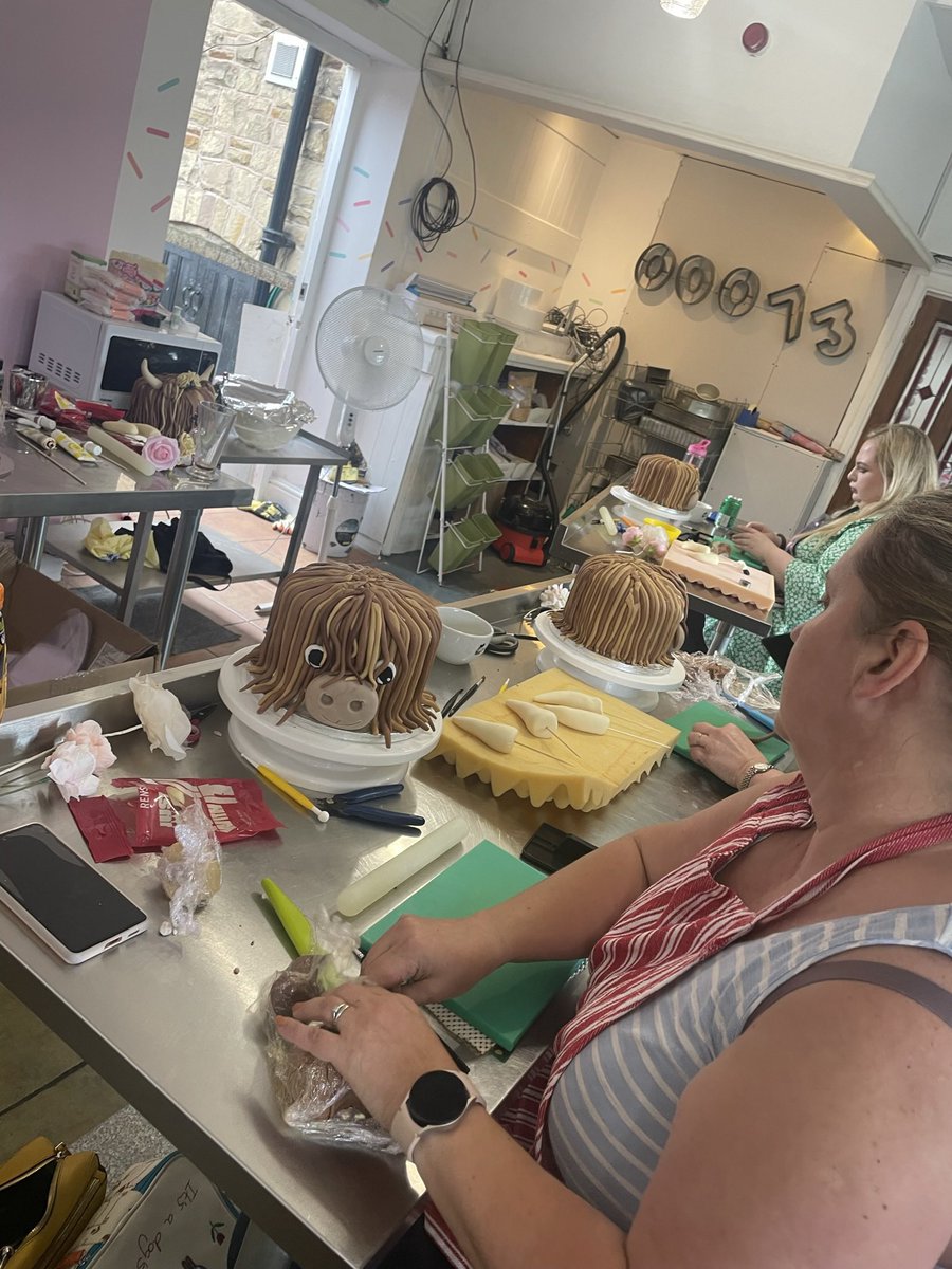 RollWithItCakes's tweet photo. Fun making highland cows last week 😁
#teaching https://t.co/CaXX4VlQ08