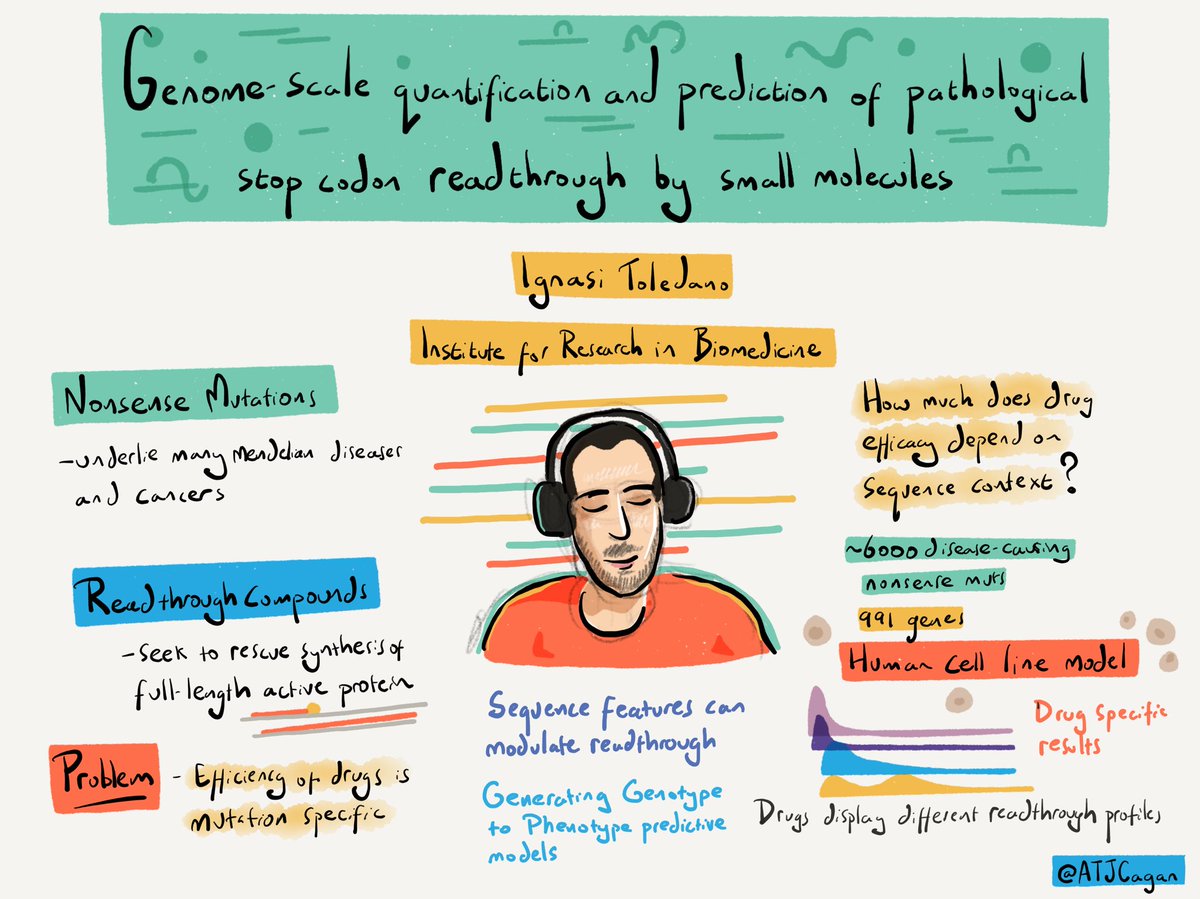 ATJCagan's tweet photo. Ignasi Toledano on genome scale quantification and prediction of pathological stop codon read through by small molecules #VariantEffect23 https://t.co/EqAYn6T3Wq