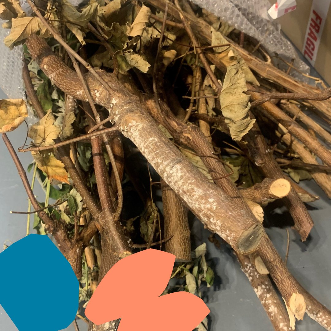 theturnpikegall's tweet image. In this Saturday&apos;s free family workshop with artist Hannah Bold, we&apos;ll be creating a large nest from natural materials.

Drop into the gallery between 11:00am - 1:00pm on the 15th July to take part!

#acesupported #leigh #wigan #contemporaryart #participation #getcreative
