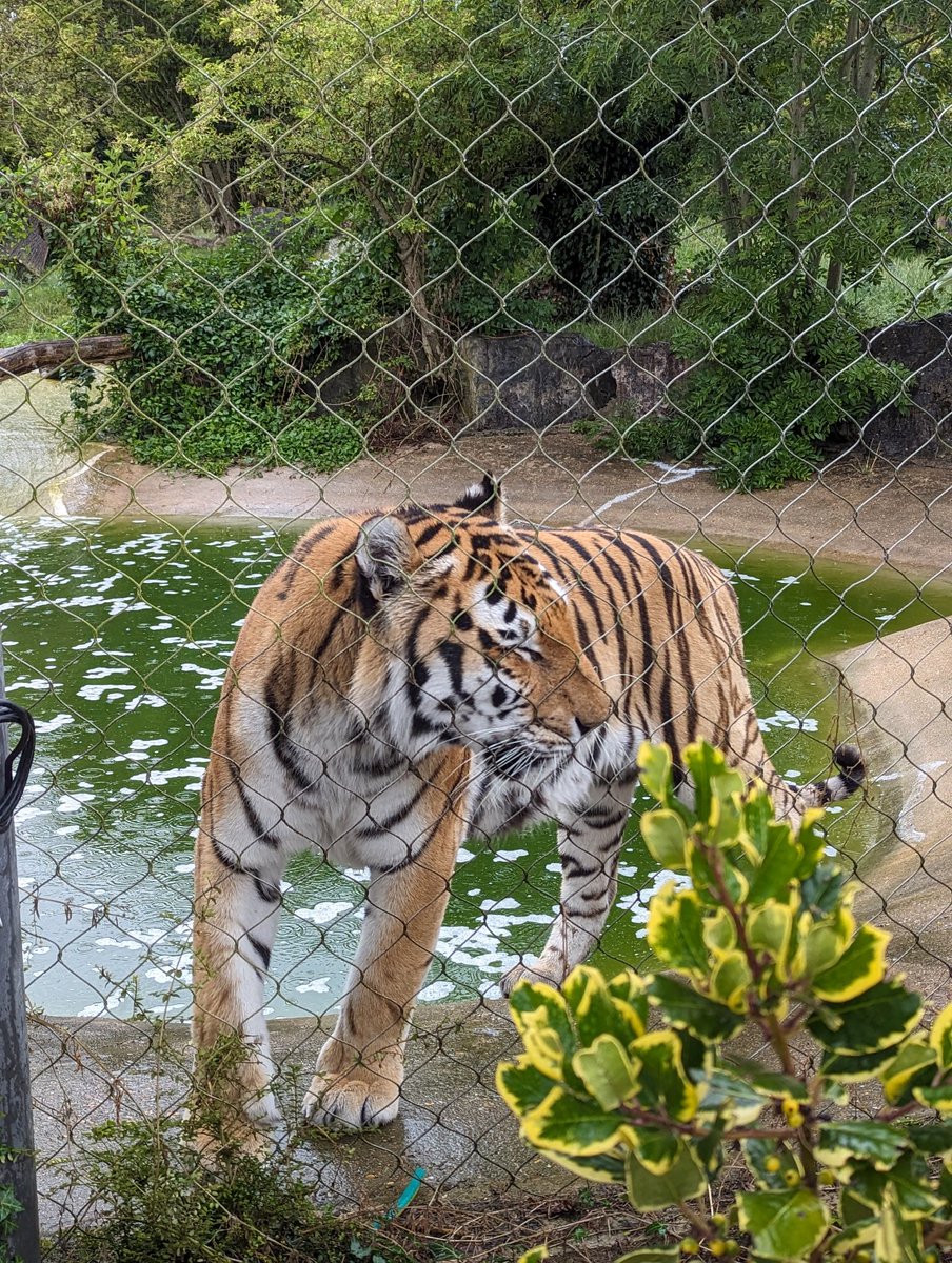 Mrs C Espeseth tweet media