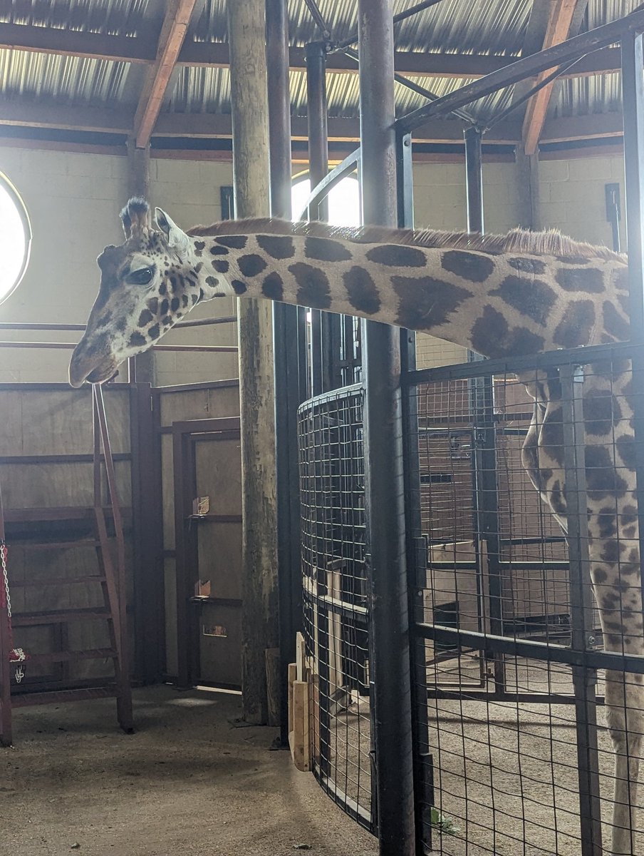 Mrs C Espeseth tweet media