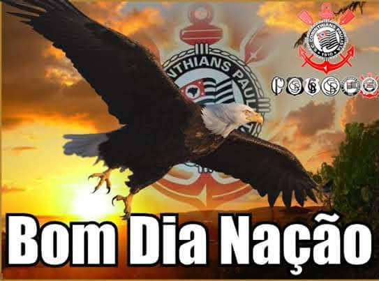 🏁Paulo🏁 tweet media