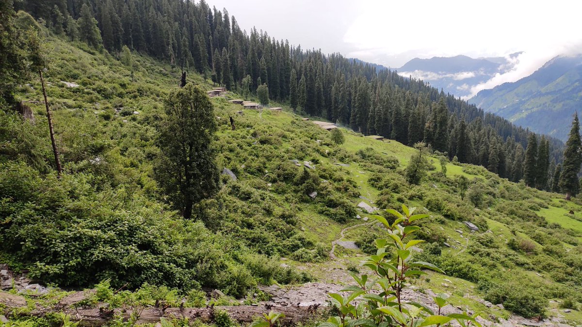 If you truly love nature, you will find beauty everywhere...