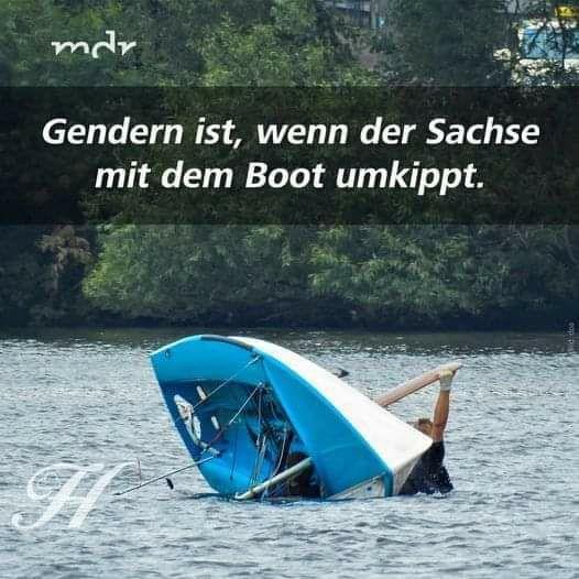 ChristelHanauer's tweet image. #Pflicht zum Gendern