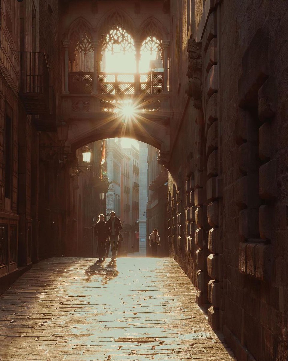SpeakeasyBCN's tweet image. The magic of the Gothic Quarter ✨ Which is your favorite barrio in Barcelona? Tell us below 👇 

📸 @barcelonacity.photos via @visitbarcelona (IG)

#GothicQuarter #Barcelona #BarcelonaMola