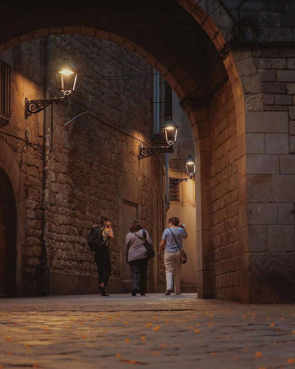 SpeakeasyBCN's tweet image. The magic of the Gothic Quarter ✨ Which is your favorite barrio in Barcelona? Tell us below 👇 

📸 @barcelonacity.photos via @visitbarcelona (IG)

#GothicQuarter #Barcelona #BarcelonaMola