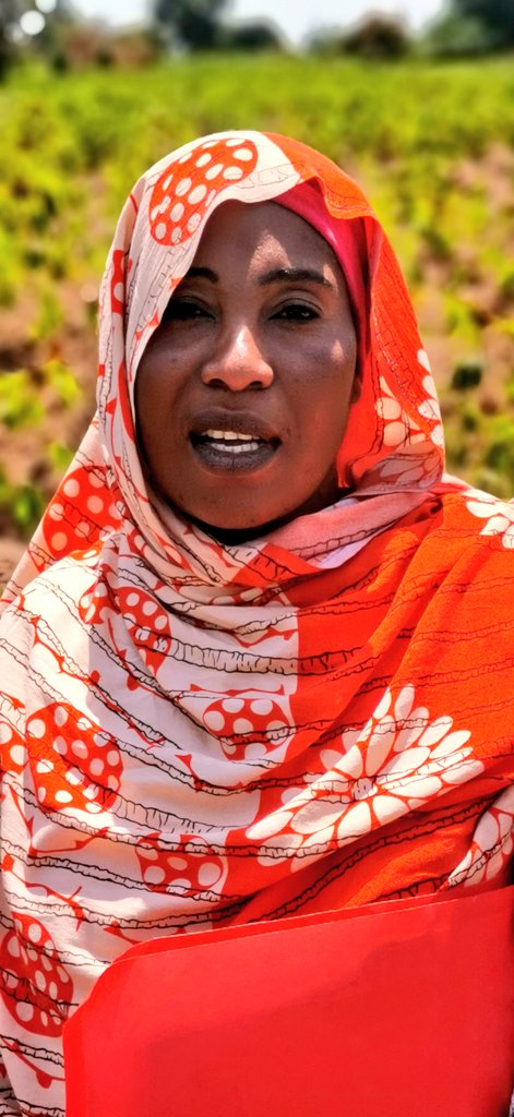 James Legg tweet media