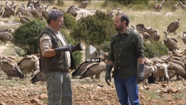Ha mort en Jaume Sañé. Ha passat a Alaska, un dels molts llocs del món que ha trepitjat. Ho ha fet viatjant, que era una de les seves grans passions. Un savi. Un amic. La natura. Com diria ell: això de trobar a faltar és cosa de mamífers. Doncs es confirma que ho som.