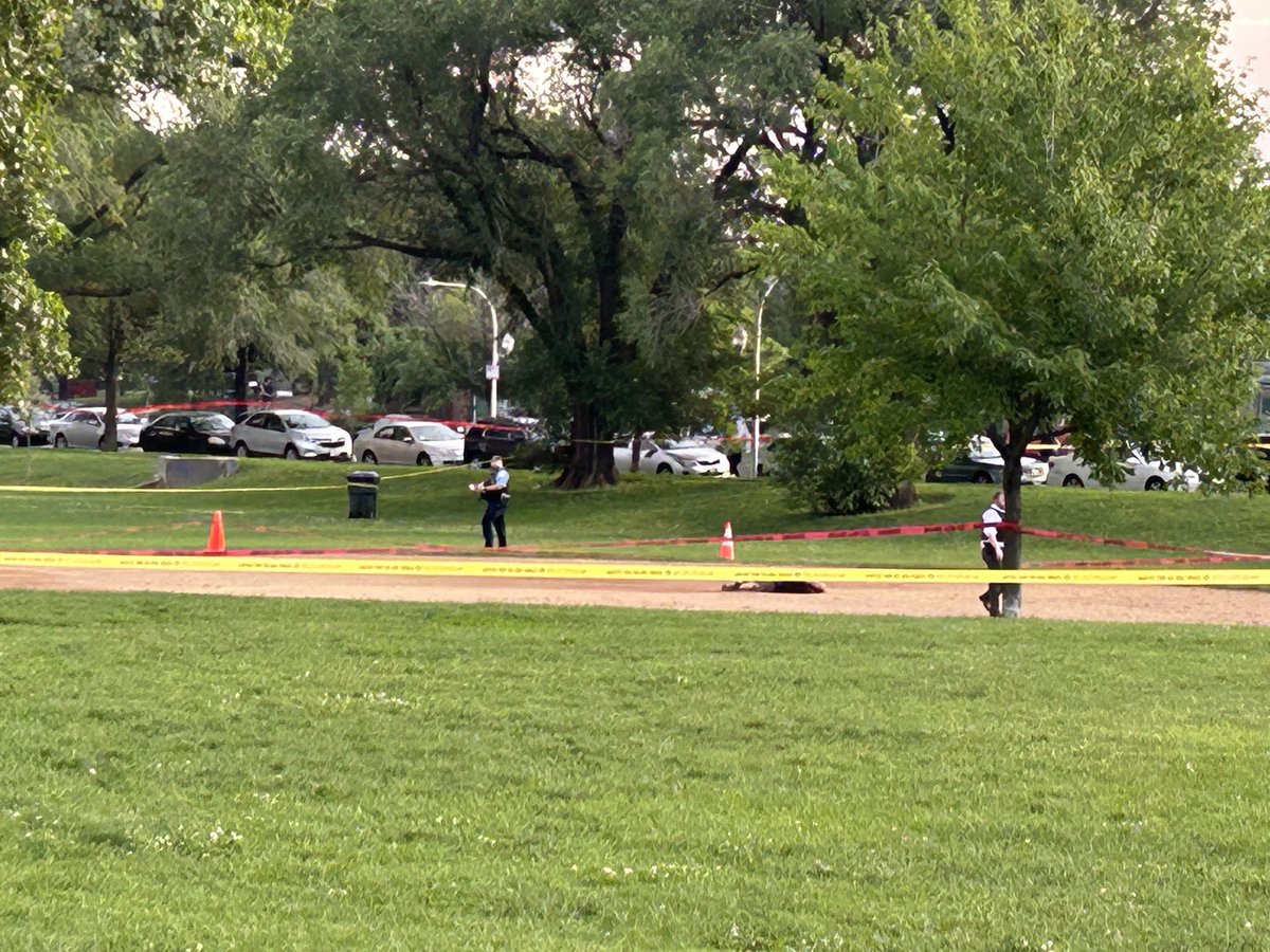 Dead body on the pitchers mound at Clarendon Park ball field. Just another Uptown morning.