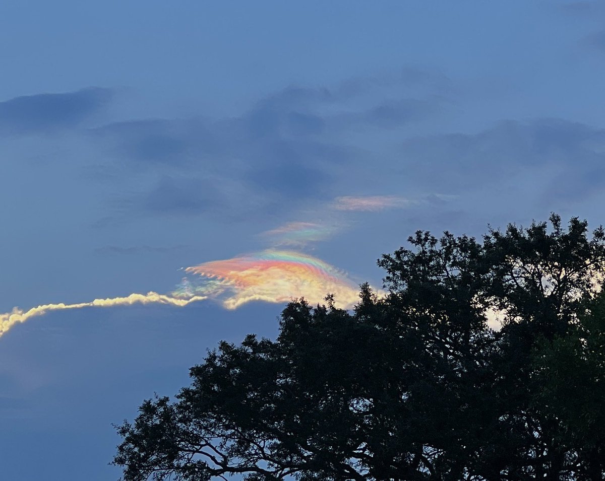 JimMcClellan8's tweet photo. I noticed this “jellyfish” formation above a cumulonimbus cloud, what is this called? Or is it just light refracting from the sun..? Thanks @NWSMobile @WEARAllenStrum @WeatherBrooke https://t.co/X1TGfsmmO9