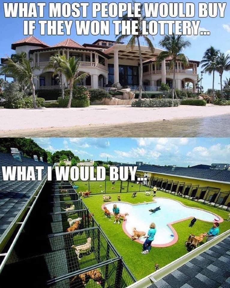 mattdeweezy19's tweet photo. @MrBeast https://t.co/w1hU34U7dH
