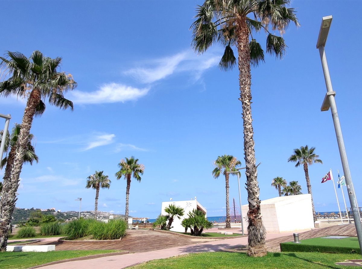 beni_paraiso's tweet photo. ¿Quién va al FIB estos días? 🎶
Levantad la mano si vuestro plan es playita y festival. ☝️

#BenicassimParaiso⁣⁣⁣⁣⁣⁣⁣⁣
#Benicassim⁣⁣⁣
#BdeBenicassim
#FIB #FIB2023 #FIBERFIB https://t.co/nDyYLkHBjh