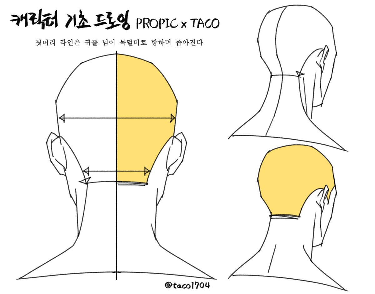 뒷머리 라인은 귀를 넘어 목덜미로 향하며 좁아진다
