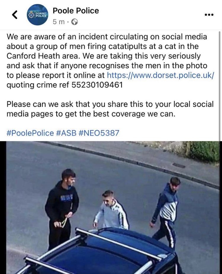 @PoolePolice   Help get them caught 😡😡 please share