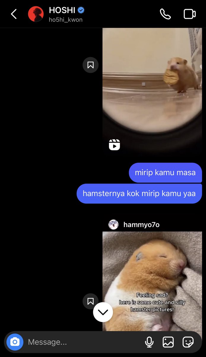 caratstalk's tweet photo. [17s] takut bgt kalo tiba2 di block blio😔 btw mau dong liat dm kalian sama para member🤩 https://t.co/pb9rWoWPOU