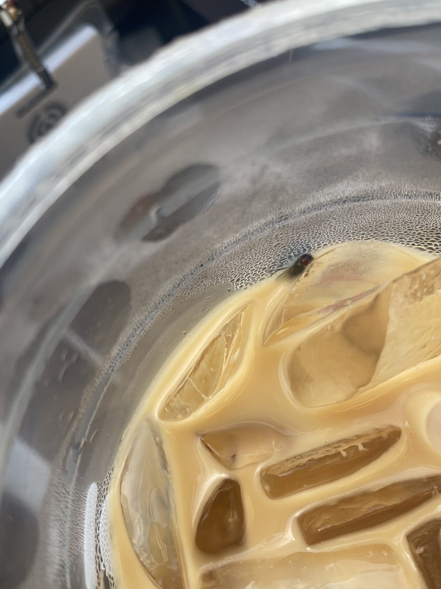 Mahoganydiva11's tweet photo. @dunkindonuts  I’m trying to cut back on iced coffee but I had a craving today.   But lesson learned!  Yep that’s a fly in my iced coffee. 🤮 https://t.co/k6AHcHWxyY