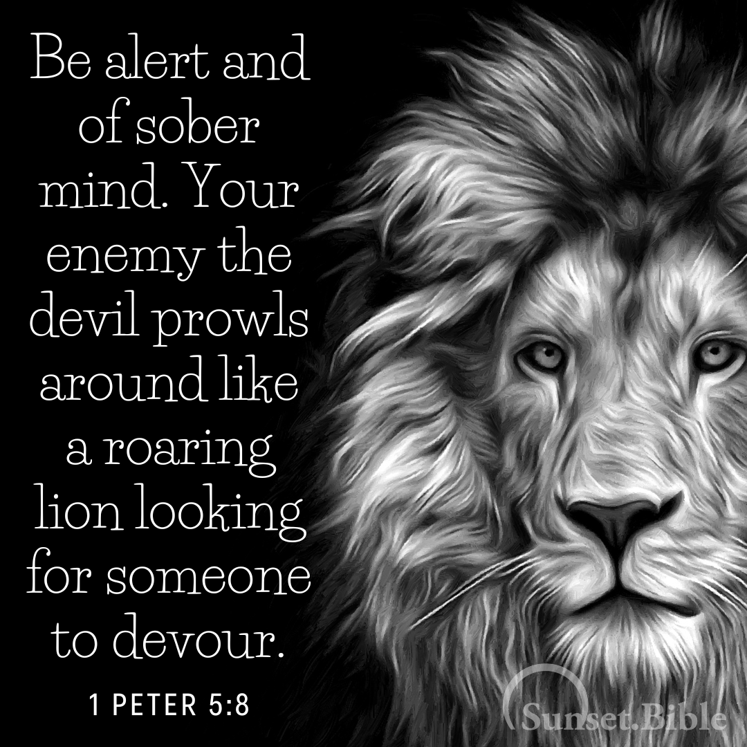 SunsetBible's tweet photo. 1 Peter 5:8
#Bible #SunsetScrippic https://t.co/D8TLGG6uDI