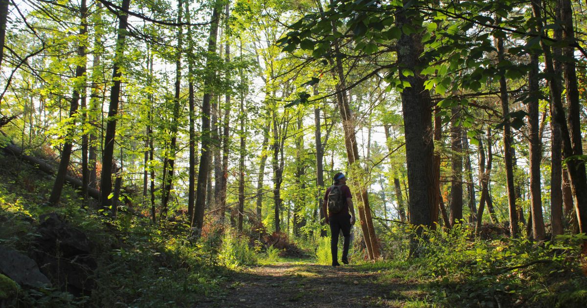 KawarthaLandTrust tweet media