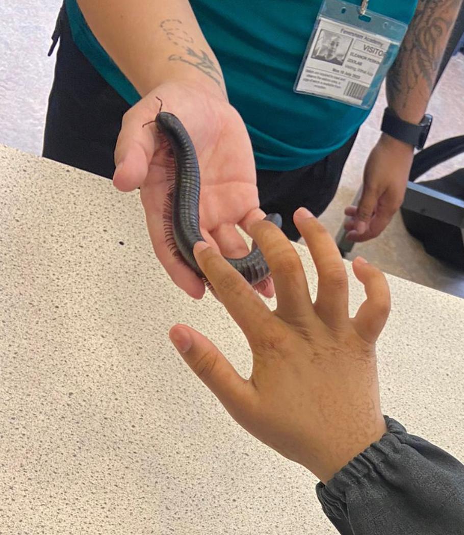 FevershamA's tweet photo. Itβs Mad Science Week at Feversham! We kicked off the fun with a visit from @zoolab where students got to get up close & personal with some creepy crawlies, snakes and frogs! Even Ms Muneer got to meet Noodle the π #MadScienceWeek #Nature #TeamFeversham https://t.co/Vj1NbDJd7Y