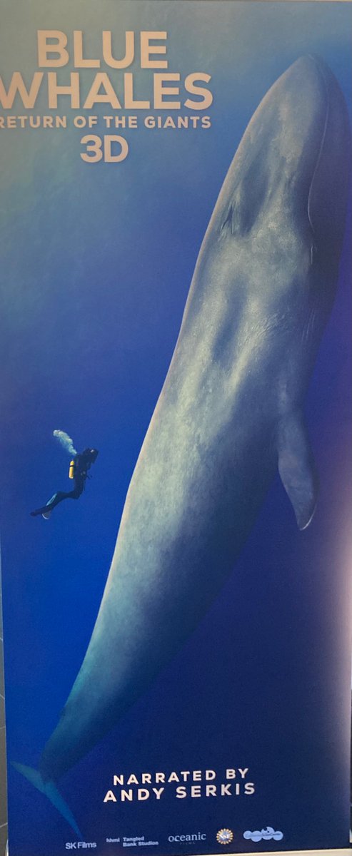 Claire_wms's tweet photo. It was an absolute privilege and honour to be invited to the screening of Blue Whales Return of The Giants 3D film by @HughCPearson and team. 

Check out the trailer of the beautiful film here:

https://t.co/KV0BbQK7YL https://t.co/nxUrMBZnXG