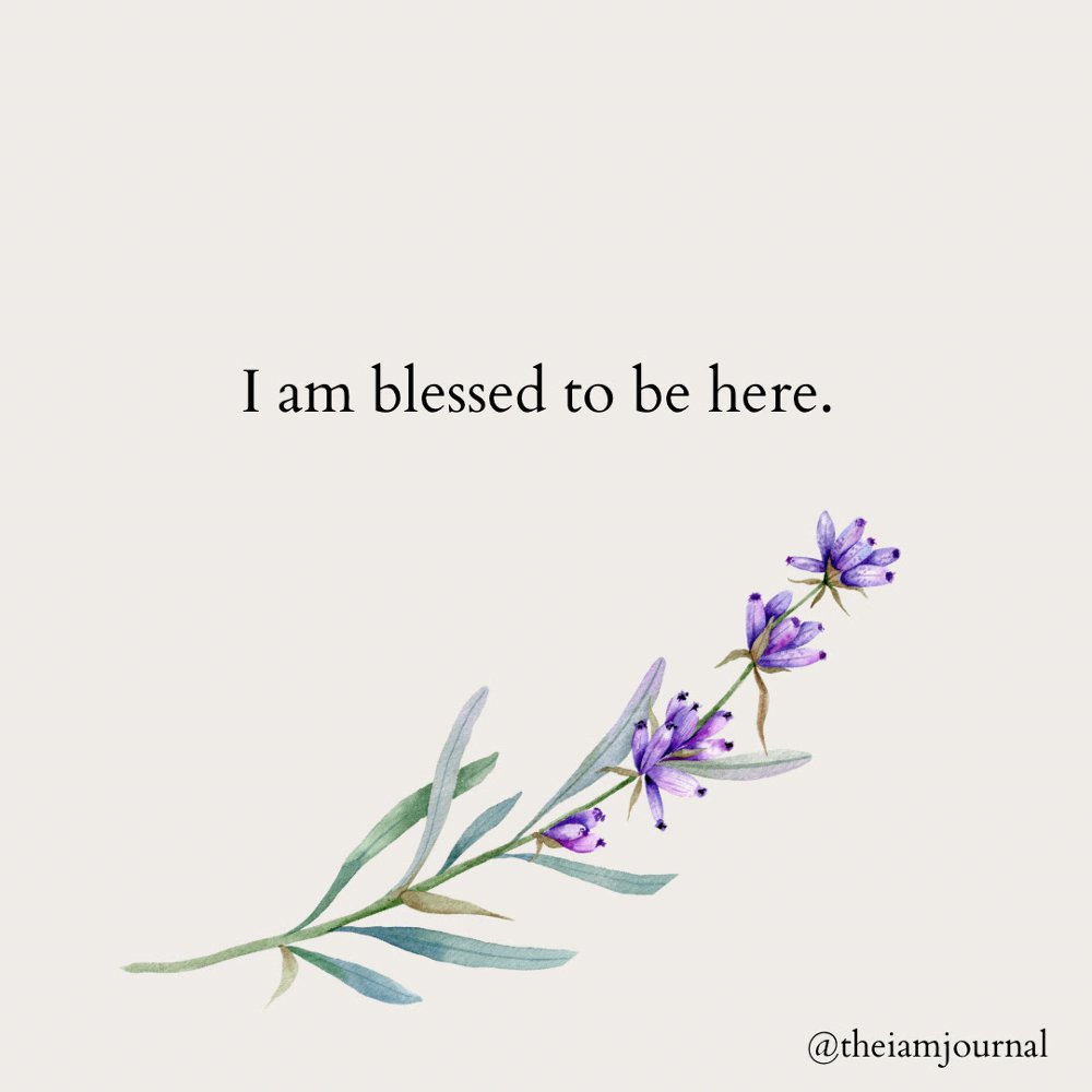 CTaylorRealtor's tweet photo. I am blessed to be here.

I am grateful to have woken up today.

For no day but today is guaranteed for me... https://t.co/N8bHINjDeD