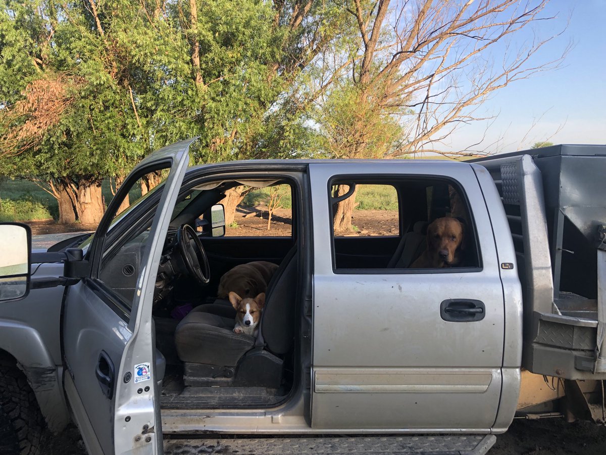 This is the kind of help I can afford 🤪