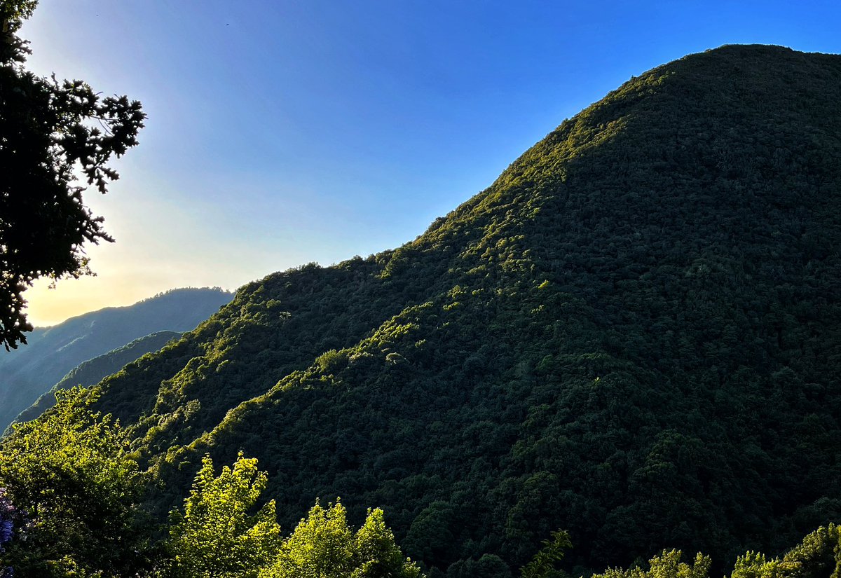 This is Madeira. There is a law here that ensures every hillside, especially if steep, is tree-shrouded to protect people, water - and nature. Grazing happens on the tops and bottoms. Imagine if Welsh Law were to put people before sheep. This type of vista could be the Brecons.