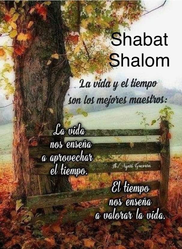 @Albert_Zimerman @RealidadReflex1 @SilviaGiordanoP @je17194237 @natashanieb @NewscastGlobal @urielromano @vaada11 @grupoedcn @comjudiachile @PszemiarowerOK @betelmadrid Shabat Shalom querido Alberto 🕊️🤍