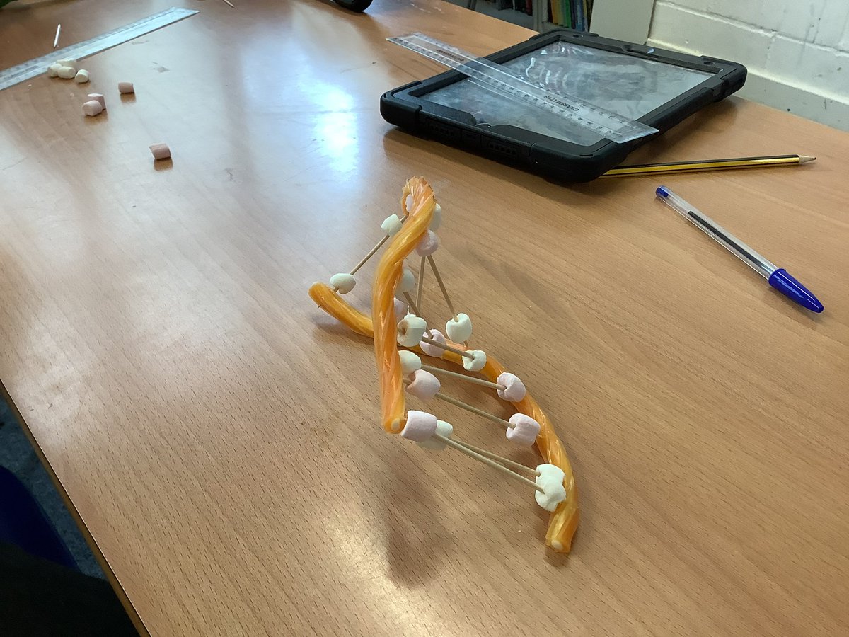WickhambrookP's tweet photo. Y6 making DNA structures today in science https://t.co/SKVaNlfsjr
