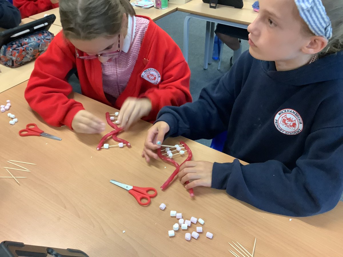 Y6 making DNA structures today in science