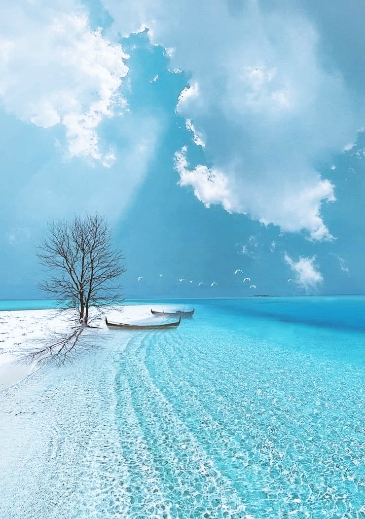 🩵💙🫧💧

Good afternoon
İ wish everyone a wonderful Friday.
#NaturePhotograhpy 
#NatureBeauty 
💧🫧💙🩵🤍