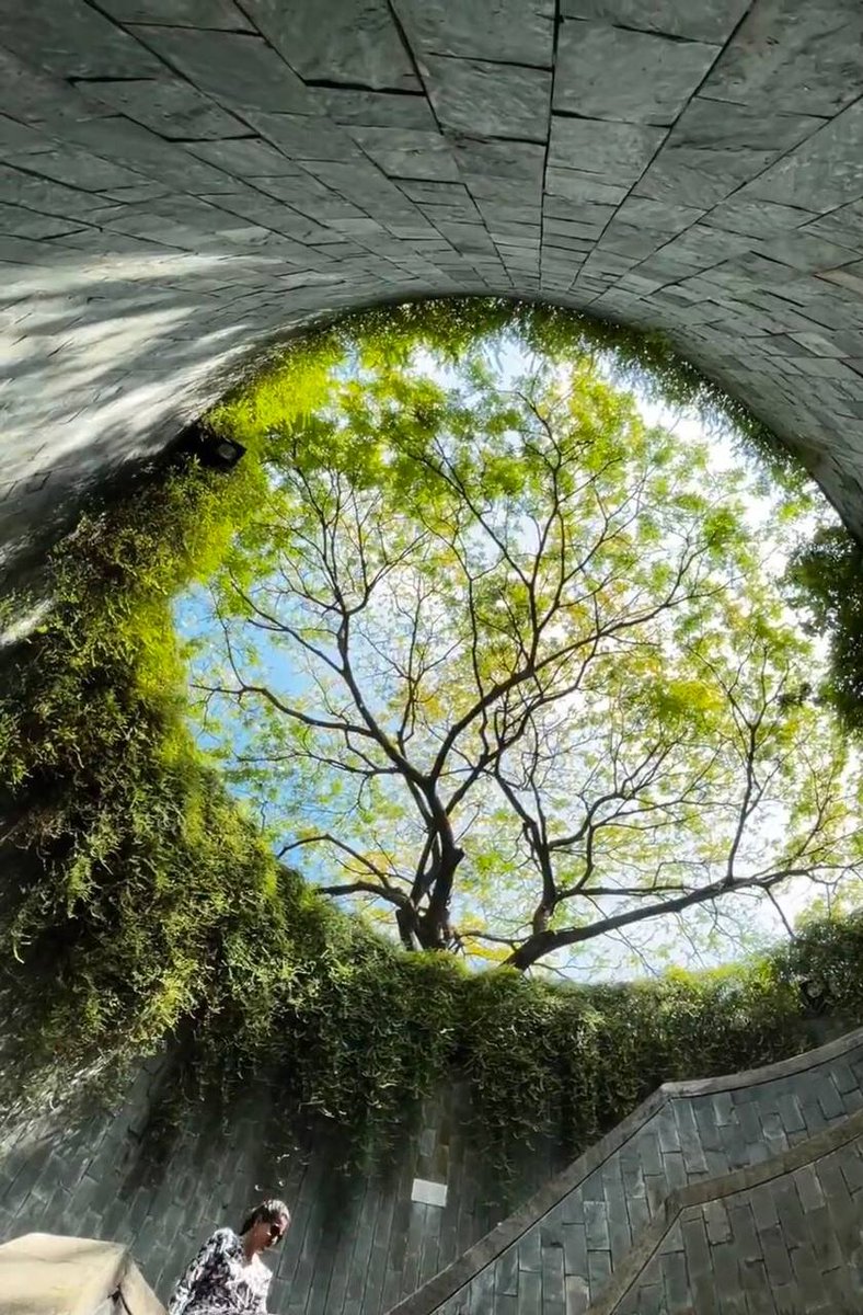 lixuee23's tweet photo. When everyone doesn't take me seriously, I must look down on myself. This is calm, this is calm. https://t.co/4gtdWAPw72