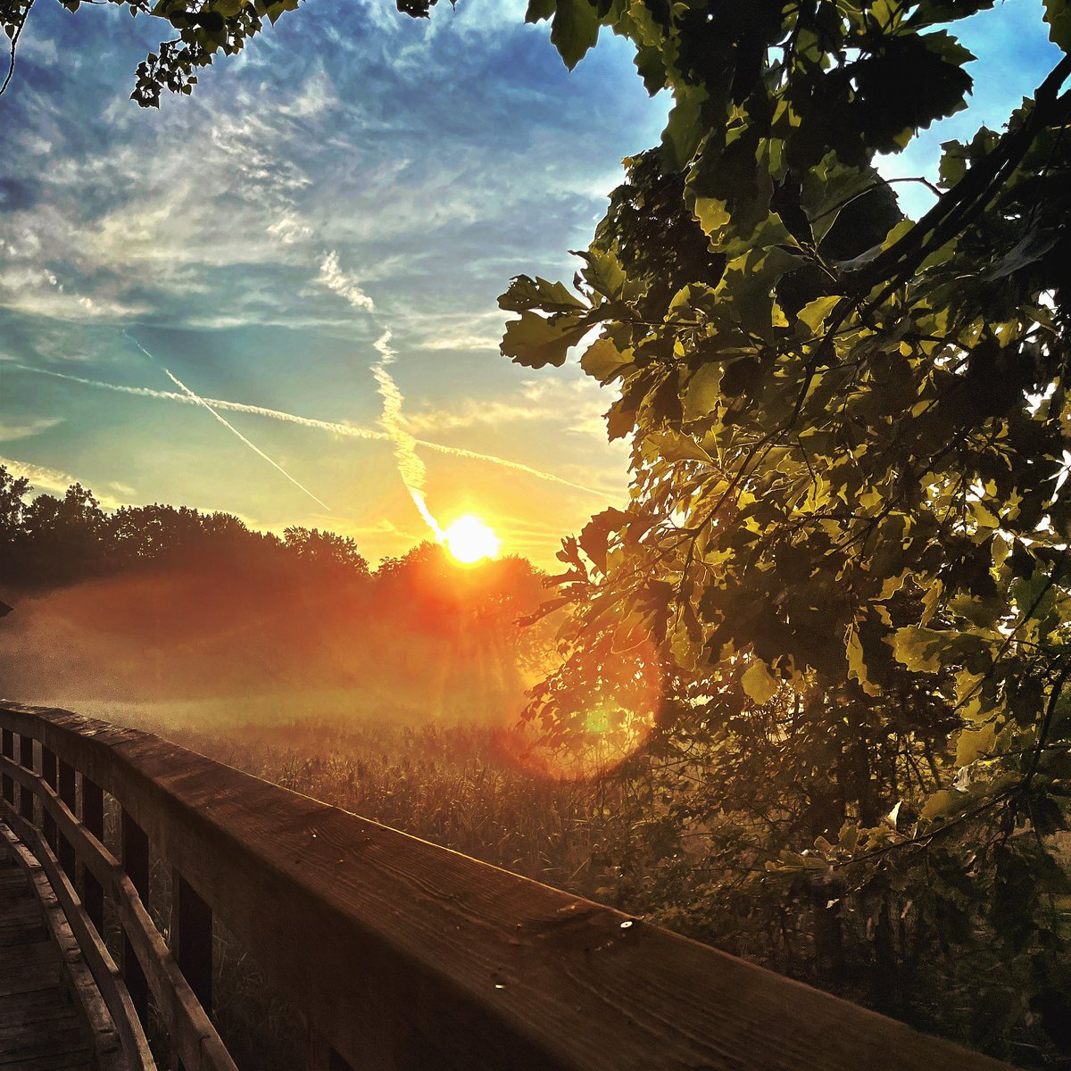 JohnSoeder's tweet photo. #sunrise 14.07.23 #nature #morningwalk https://t.co/Ty76p79oXw