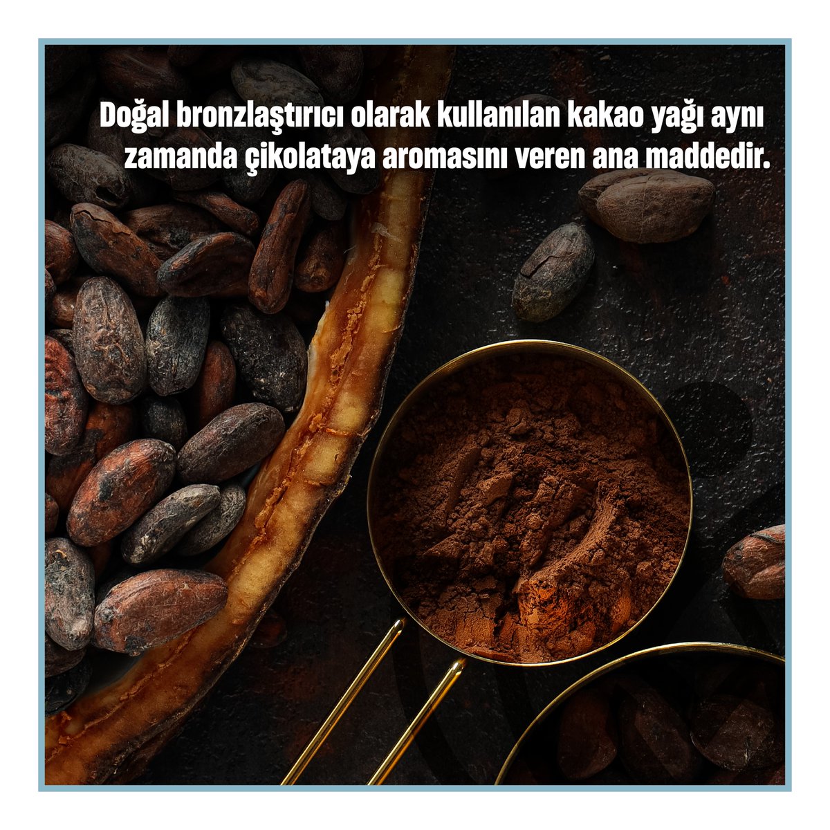 Yaz ürünlerinin içeriğinde gördüğümüz kakao yağı hakkında daha fazla bilgi için sola kaydırın.

#newrawmaterials #talya #rawmaterials #hammadde #uçucuyağlar #sabityağlar #fitoterapi #kakaoyağı #buhardistilasyonu #soğuksıkım #aromaterapi #bitki #kozmetikhammadde #doğalyağlar