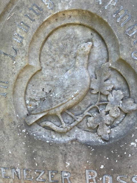 fotc2017's tweet photo. Marvellous carvings on headstones at the Old Cemetery #Teignmouth #cemetery #Victorian https://t.co/swr8dNttYF