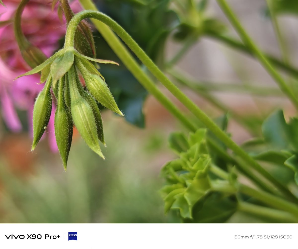 fabrizio_degni's tweet photo. VIVO X90 Pro+, Texture Color mode... first shots.
I really love the final render of the shots βΊοΈ
#vivo #vivox90proplus #vivox90pro #camera #texturecolor #smartphones https://t.co/0bUYPBEscI