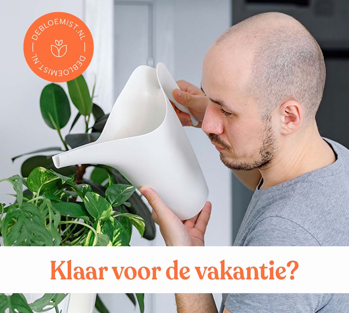 Alles ingepakt voor de vakantie? Lekker weg!
Vergeet niet om de buren of een kennis te vragen of ze je planten binnen en in je tuin water willen geven. Met deze temperaturen drinken planten extra water.

#planten #bloemist #warmweer #vakantie #zomervakentie