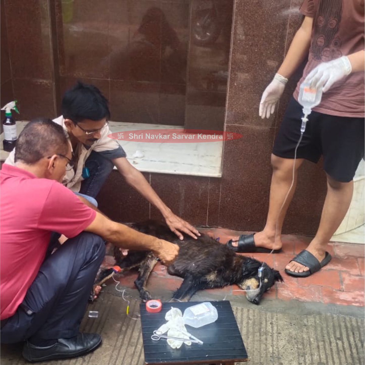 Jeevdaya Activity : Dog suffers from unusual tiredness. Our team of veterinary doctors reached the spot to provide the needed treatment and medicine.