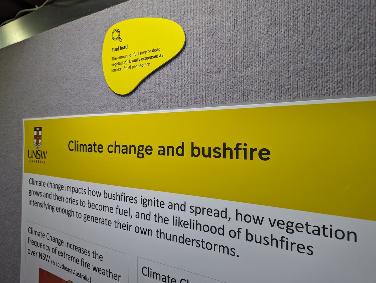 Dane McCamey tweet media