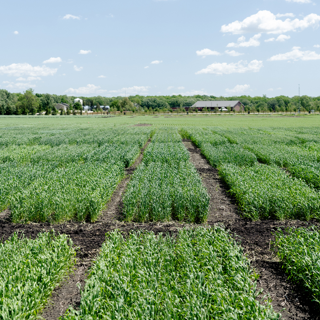 CrispMalt's tweet photo. We’re hugely proud to announce that Anglia Maltings, owners of Crisp Malt, EDME and Micronized Food Products (MFP), has been wholly acquired by Richardson International Ltd, a Canadian global leader in agriculture and food processing.
Read more: https://t.co/dXsIIMnfKa https://t.co/RWAKp9eo3l
