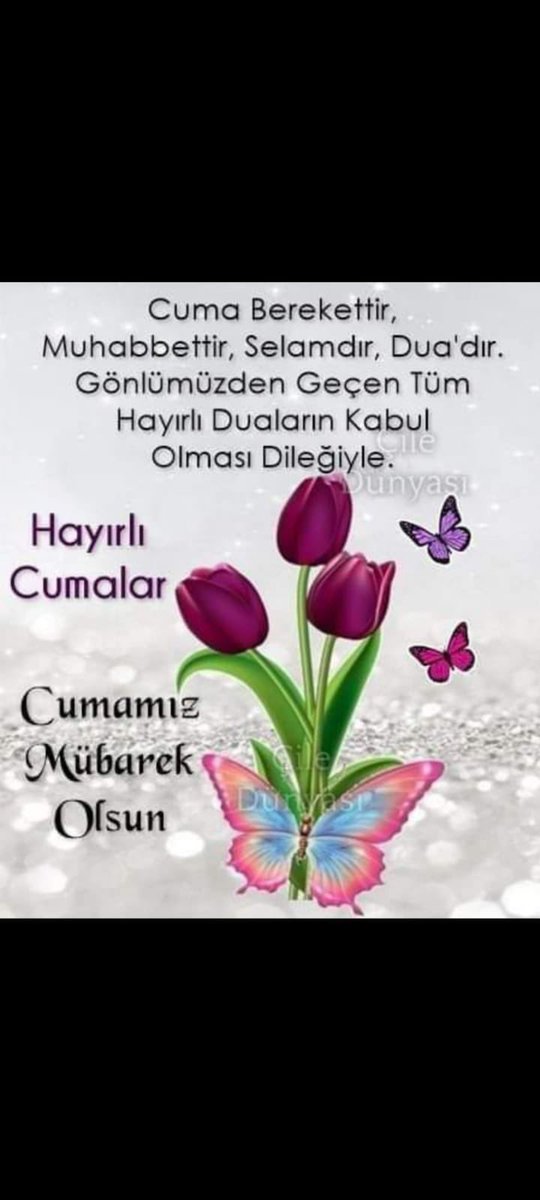 @TURKOGLU_1299 @Sevda__38 @Lavanta_12 @ah_de_ @uziTURGttinta @Nilfer36445269 @__AkcaHatun__ @LARMINA__ @0arev @osmanlinz @Murat58ss_ @AkBilgeAk @aysedogan1955 @yalcin1940 @___Ali_07 @__Baha___1245 @2071_WORLD @AhmetAkkan00 @Ahmet736495945 @46C_Kaya46 @yunus_arslan_ya @blackPearl0197 @MSC21_ @ahsenilhan_ @MeltemOsmanoglu @efa__27 Gönüller duada birleşince cumalar güzelleşir Cumamız mübarek olsun