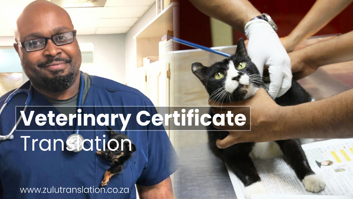 Zulutranslate's tweet image. Going global with pet care! Our Veterinary Certificate Translation Service bridges the language gap, allowing your pet&apos;s health history to be understood wherever they go. 
#GlobalPetCare #TranslationService #BoksburgGasLeak #crisisoverleg #threadapp