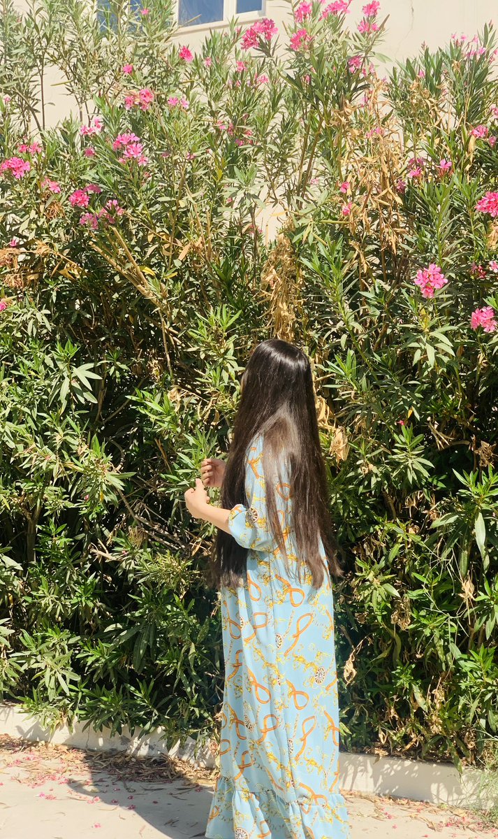 KaviRasull's tweet photo. morning🌞🌺 https://t.co/Apm4TY2W9d