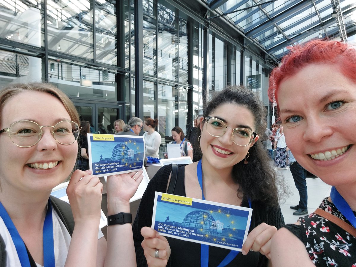 XVI European Meeting on Glial Cells in Health and Disease about to commence in Berlin - So excited to network with other glia scientists! #Glia2023 @LehtonenLab @LabMalm