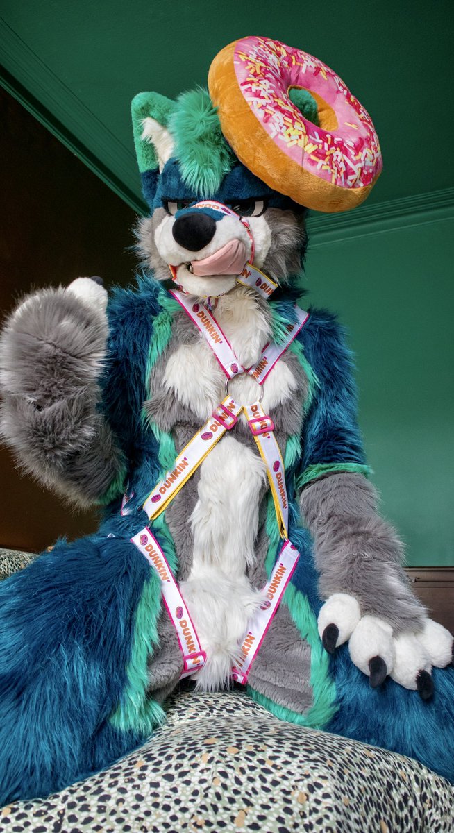 havokhusky's tweet photo. What do you think of my crown 👑 😌

#FursuitFriday https://t.co/Z9GpmEvlz2