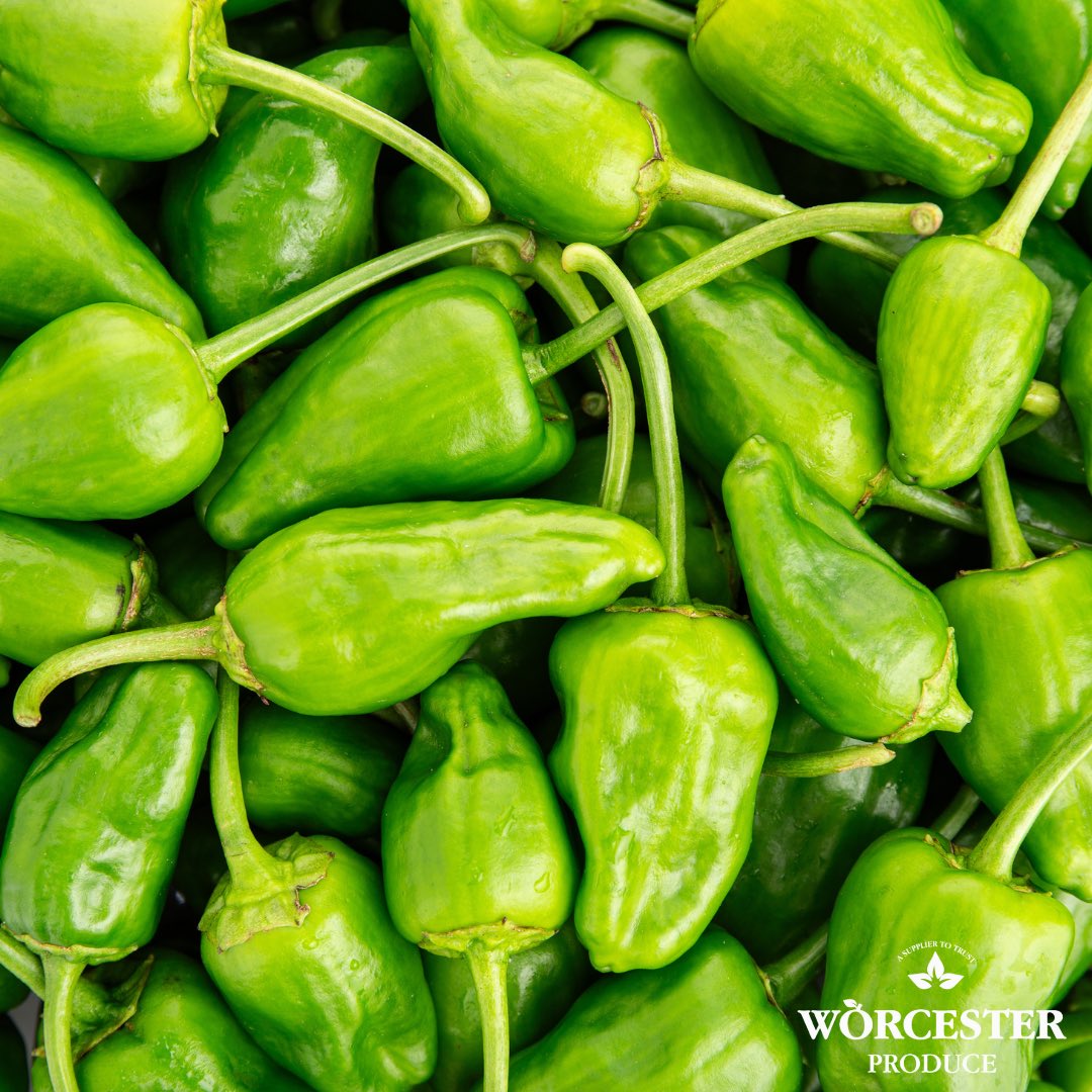WorcesterProd's tweet image. Fresh Padron Peppers in stock and ready to order 🌶️🌶️

#freshproduce #fruitandveg #produce #Midlands #catering #caterers #caterer #hotelindustry #restaurant #hospitalityindustry #hospitality #Worcestershire #worcester #vegetables
